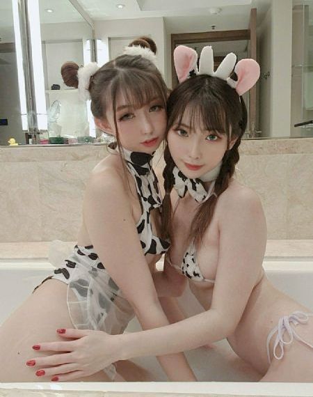特级黄色网_DVD手机免费观看完整